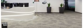 DSGN Track | Modulyss 38